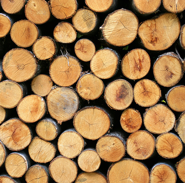 FIRBEIX FIOUL - Livraison de bois de chauffage à Firbeix