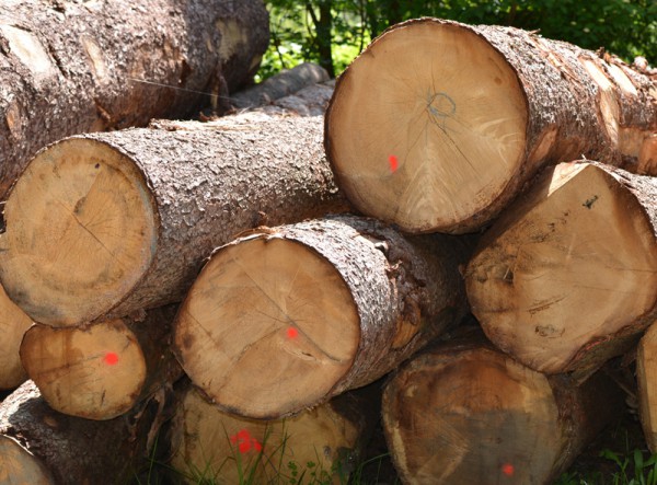 Bois de chauffage Thiviers